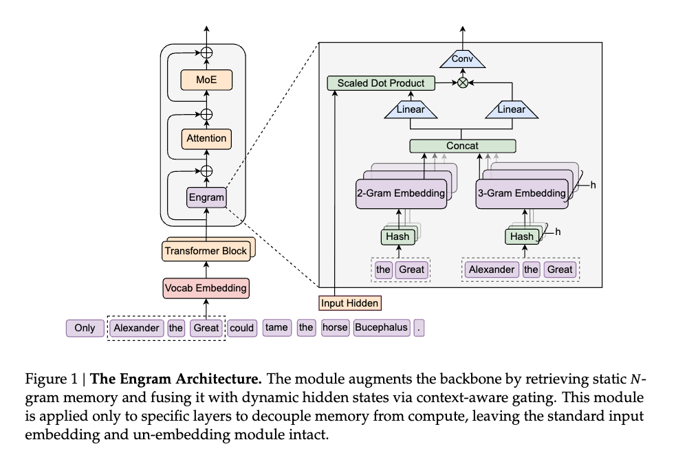 截圖 2026-01-20 上午11.43.00.png